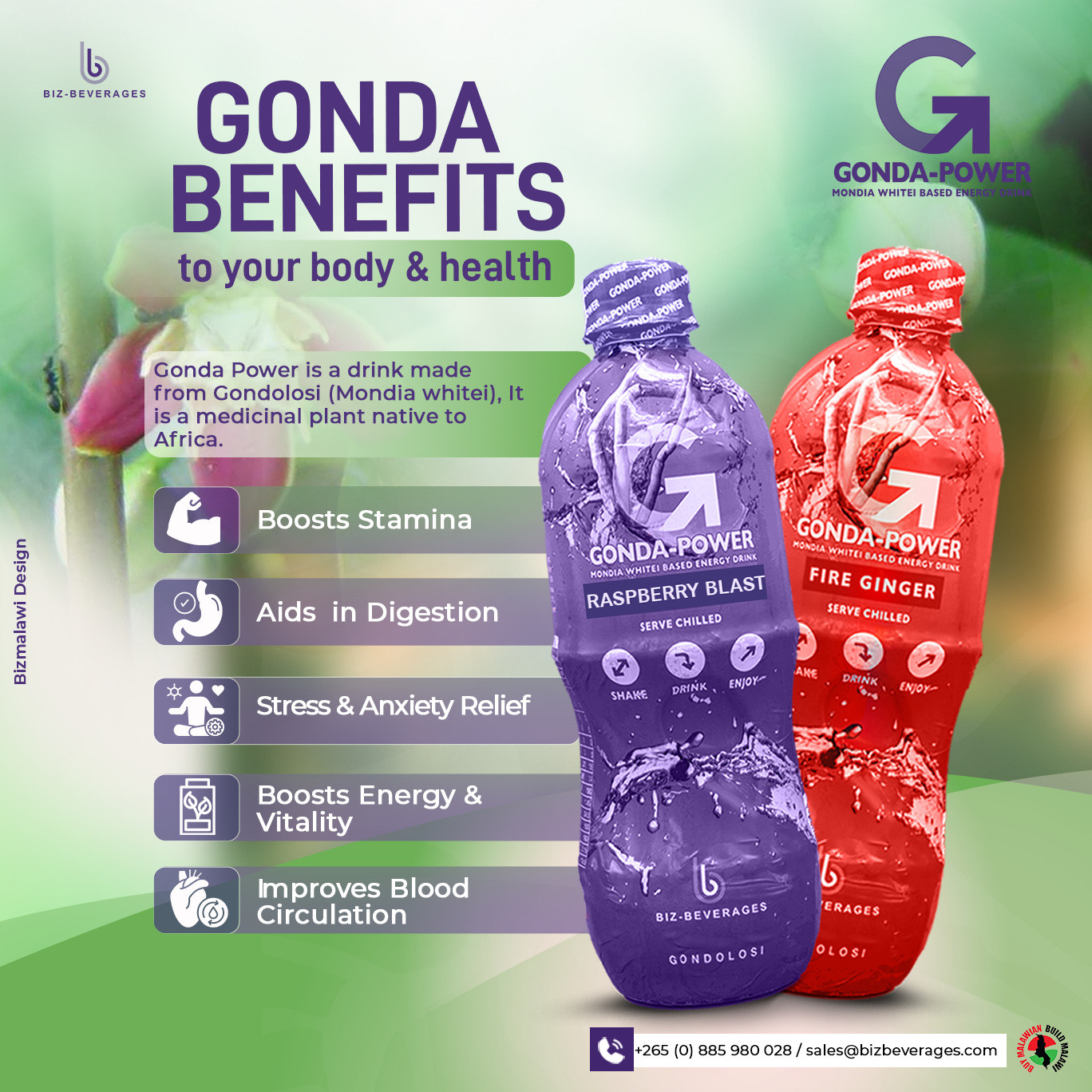 Learn All The Benefits Of Gonda ...