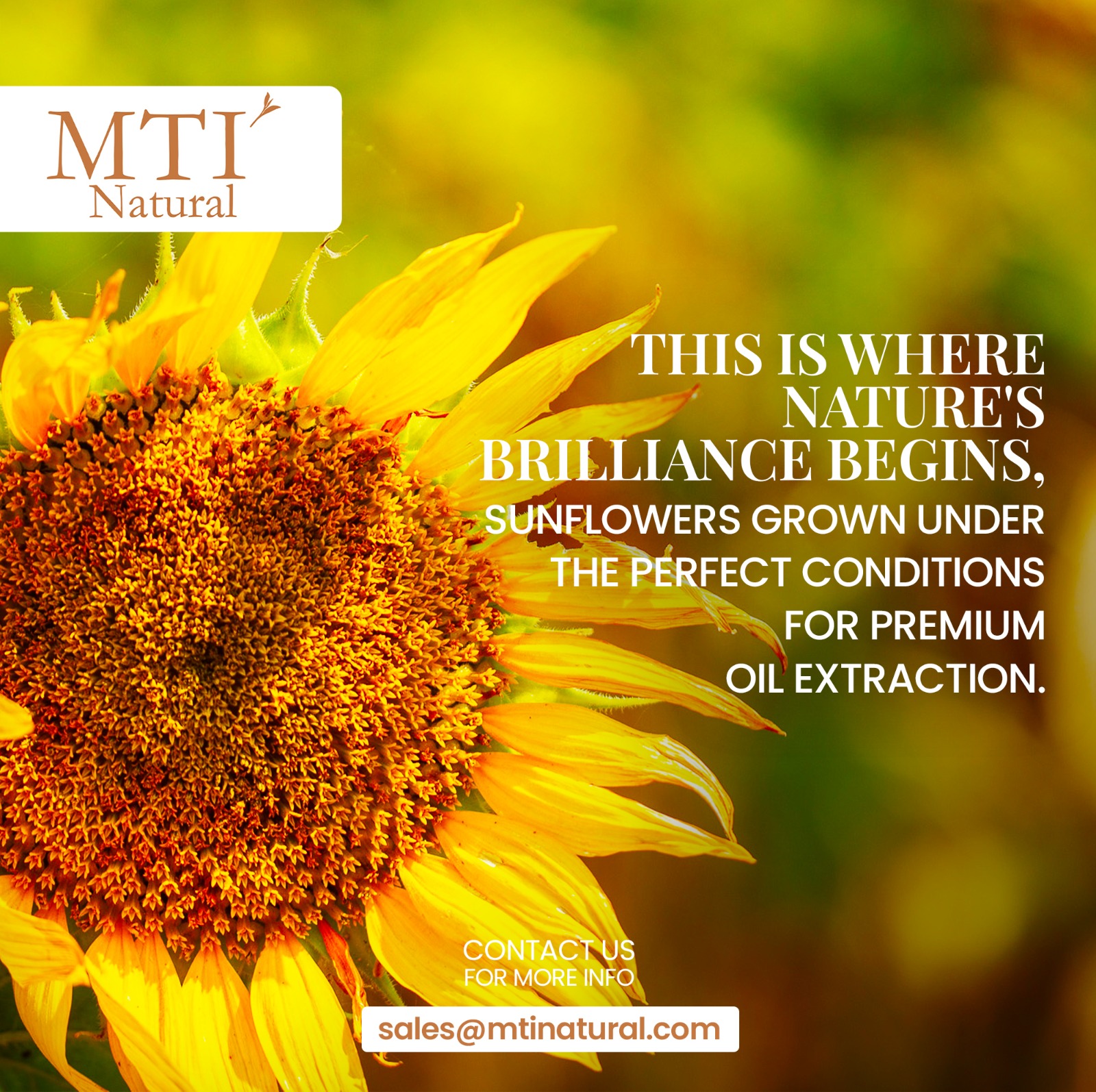 Where Nature’s Brilliance Begins 
At...
